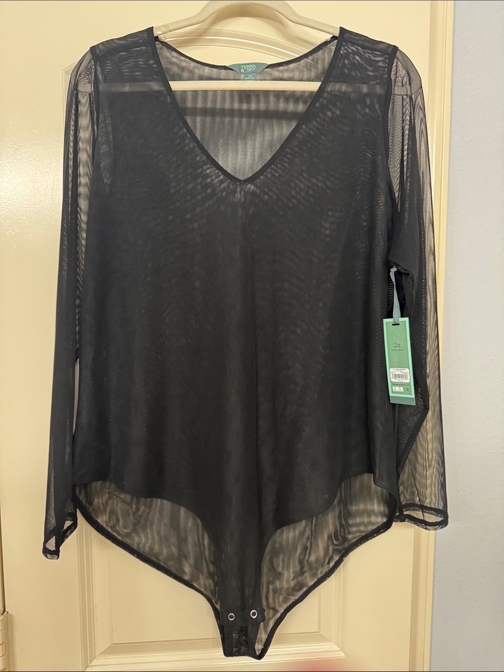 Terra & Sky Black Sheer V-Neck Long Sleeve Bodysuit